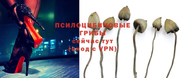 тгк Абинск