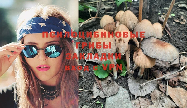 прущие грибы Алексеевка