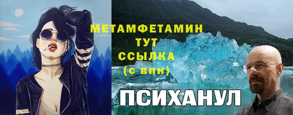 прущие грибы Алексеевка